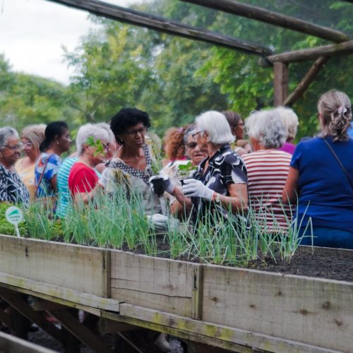 20250316_001913803_iOS