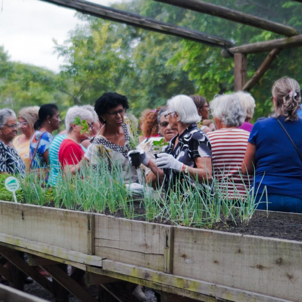 20250316_001913803_iOS