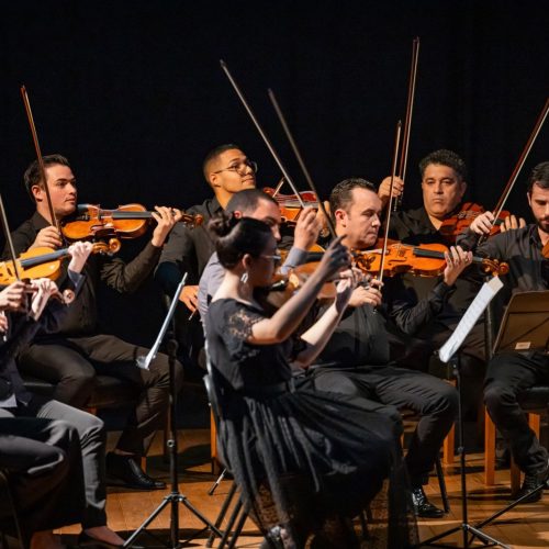 camerata capivari