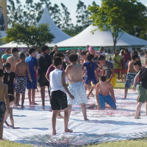 carnaval no parque 6